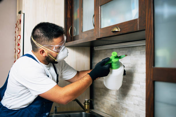 Best Bed Bug Extermination  in Laurel Hill, NC