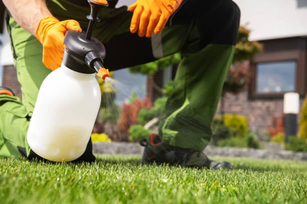 Best Wasp Removal Services  in Laurel Hill, NC